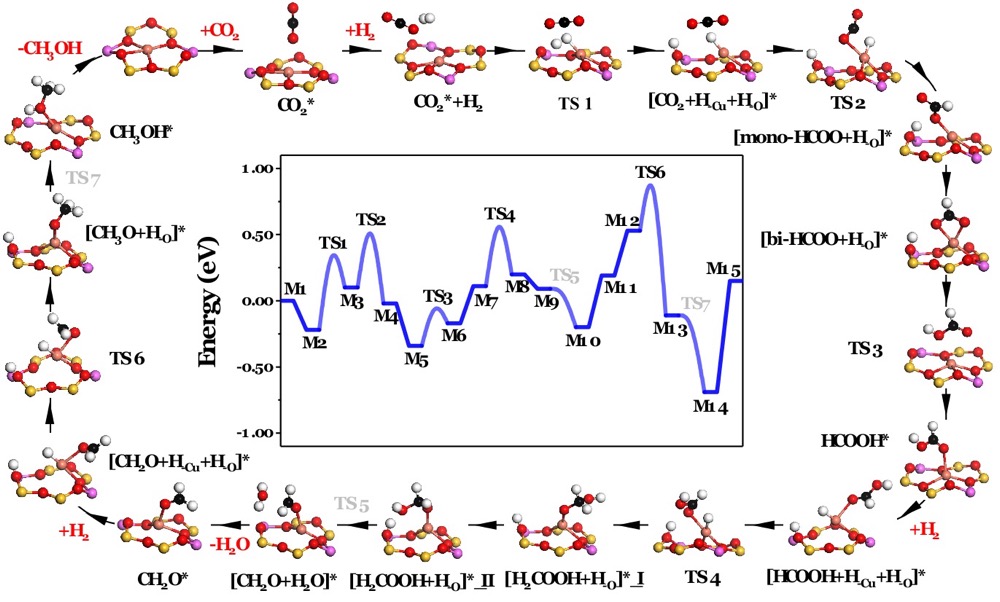 National Science Review: Zeolite-encaged Mononuclear Copper Centers ...